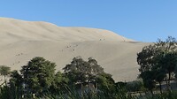 Zandduinen