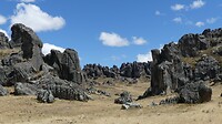 Bosque de Piedras