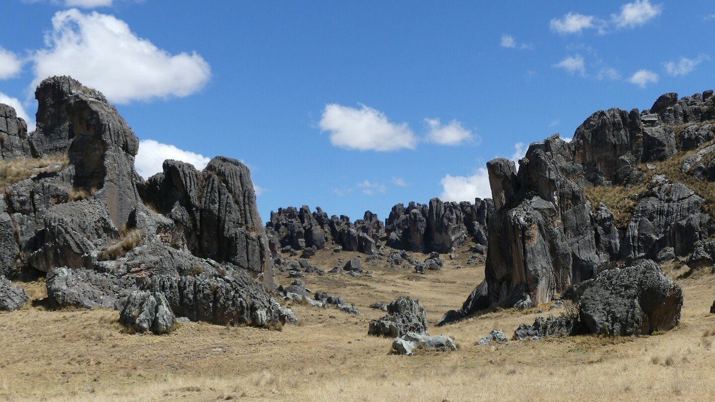 Bosque de Piedras