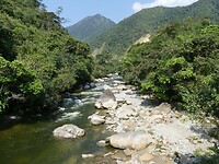 rivier in het park