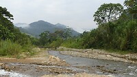 Bij de rivier