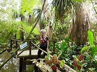 Botanische tuin el Gato