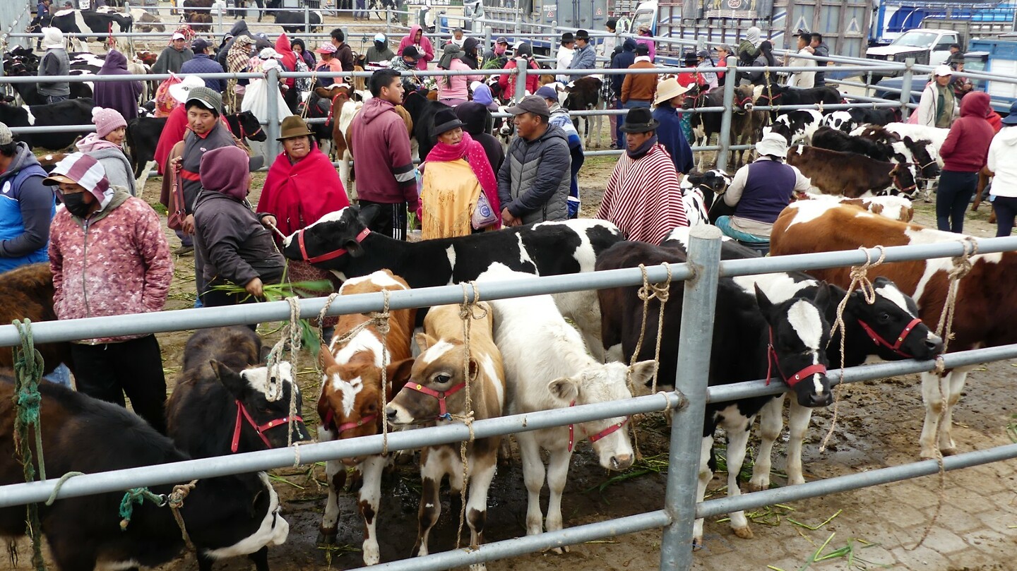 veemarkt