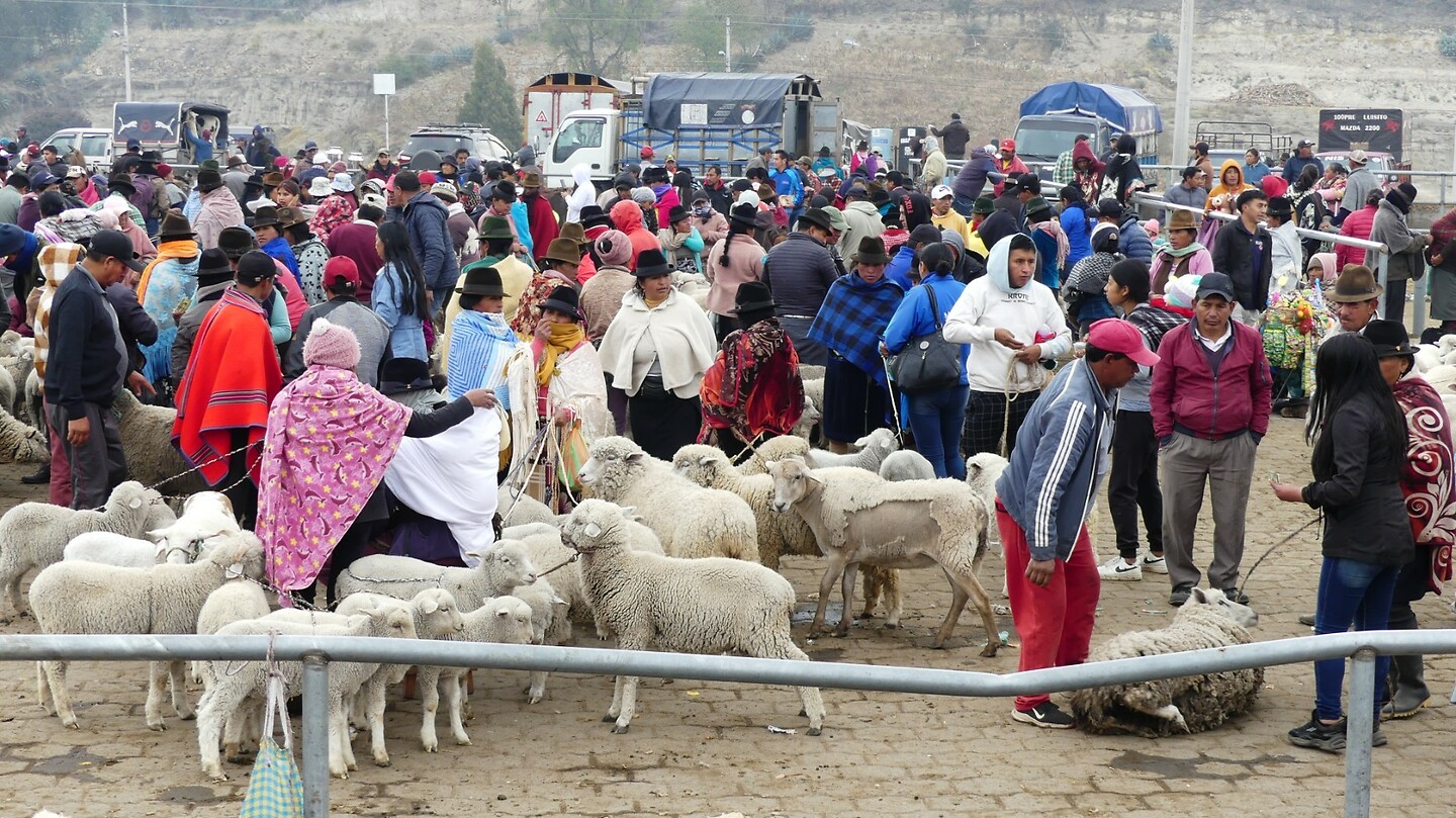 veemarkt