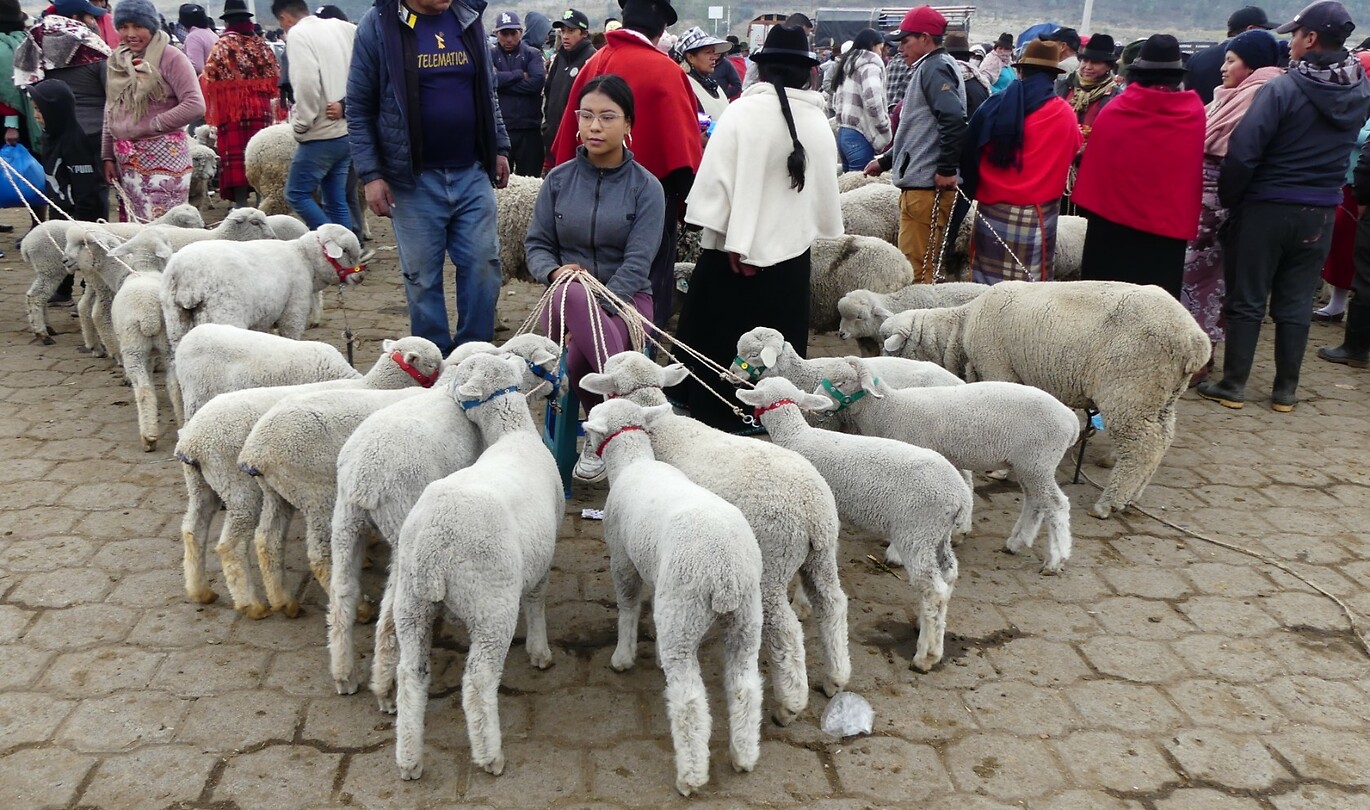 veemarkt