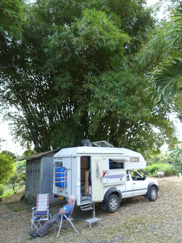 dutje onder de bamboeboom