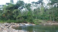 rivier