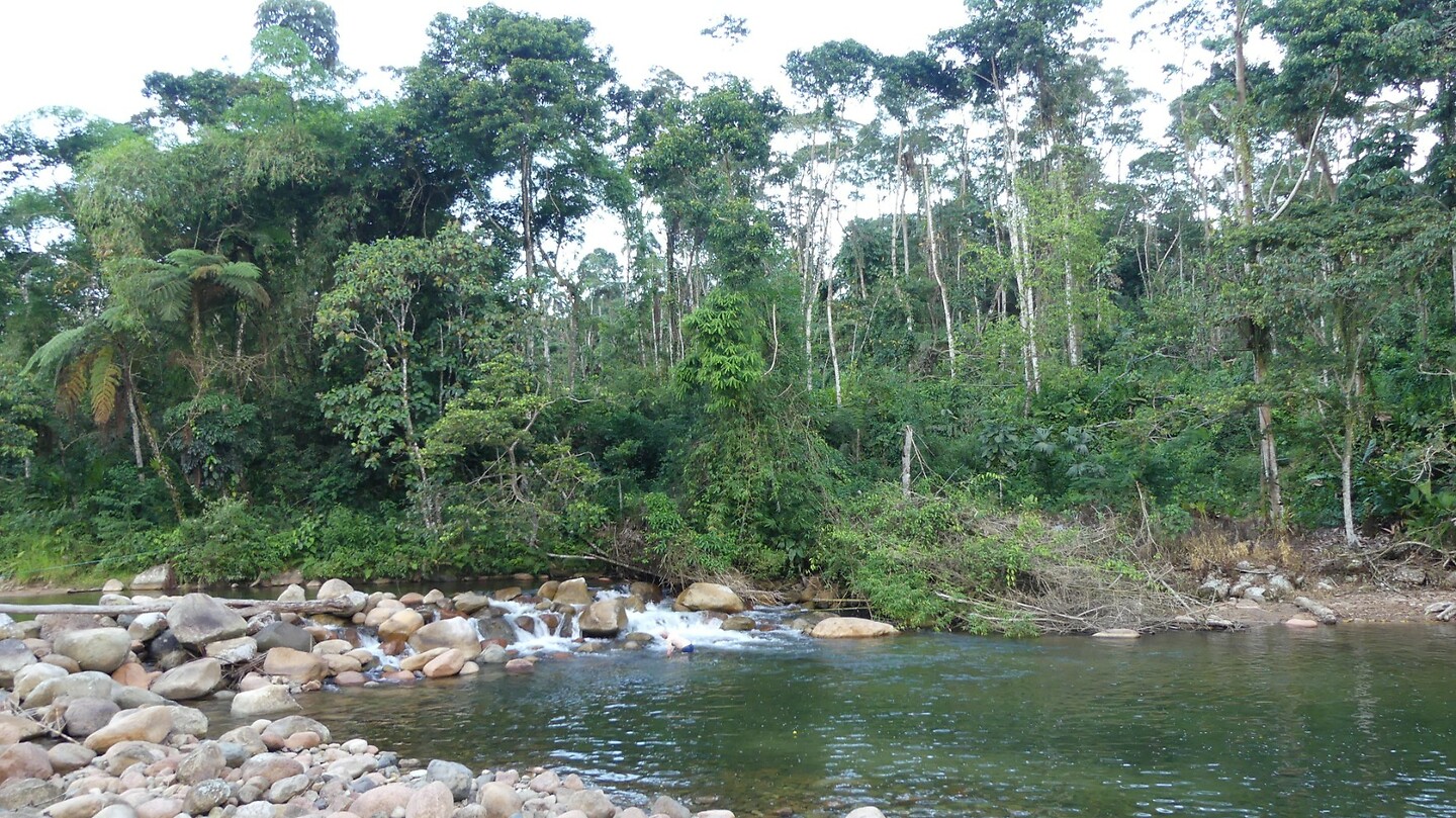 rivier