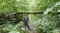 junglewandeling