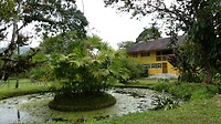 het yellow house