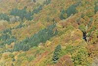 Prachtige herfstkleuren