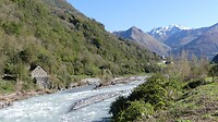 Pyreneeën