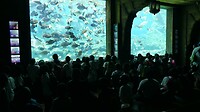 Schoolkinderen in het aquarium