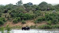 Sabieriver