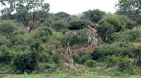 Sabieriver