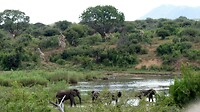 Sabieriver