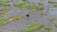 in de rivier
