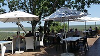 Olifants terras