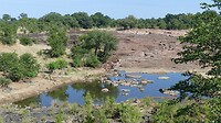 landschap Kruger