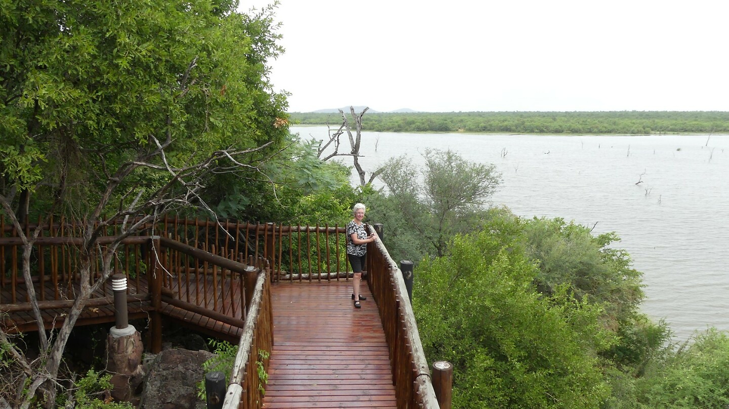 Mopani Kruger