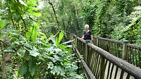 Botanische tuin