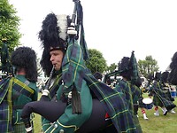 Piper