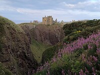kasteel Dunnottar