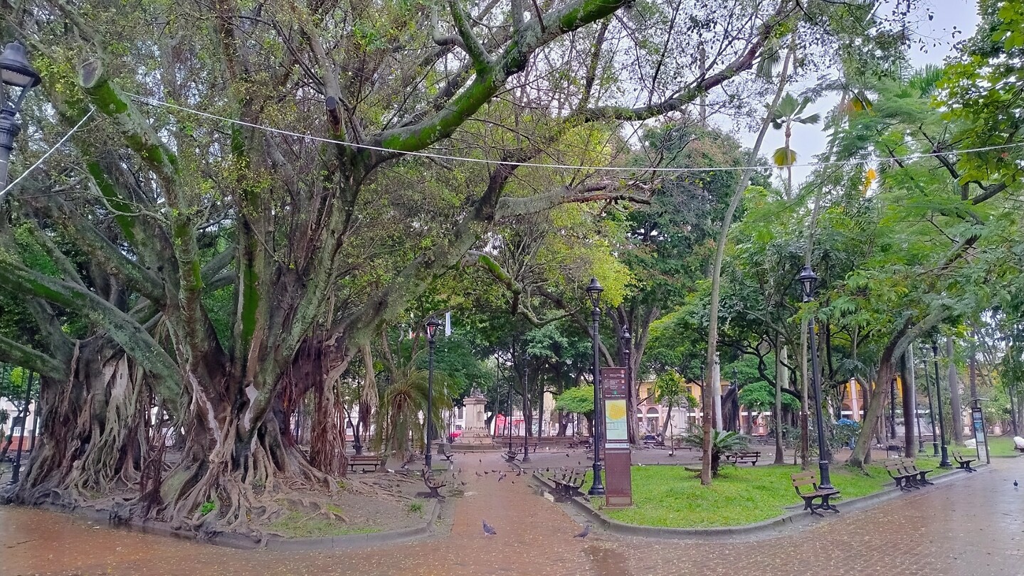 Stadspark