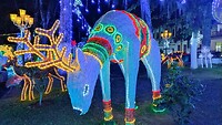 Kerstverlichting