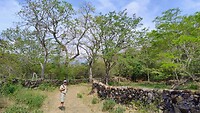 Camino naar Guane