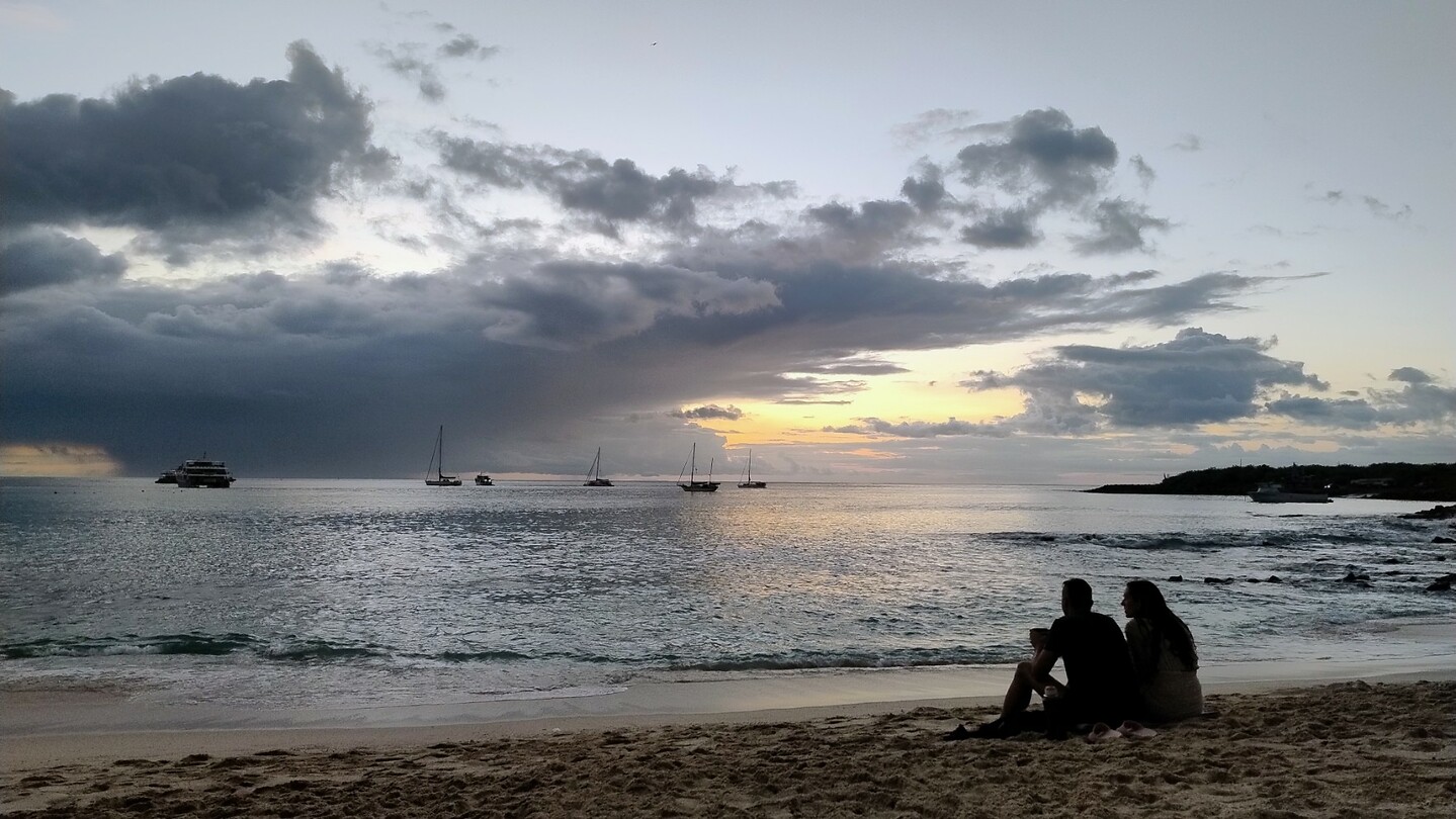 Playa Mann