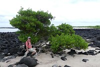 Loberiabeach