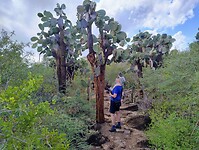 cactussen