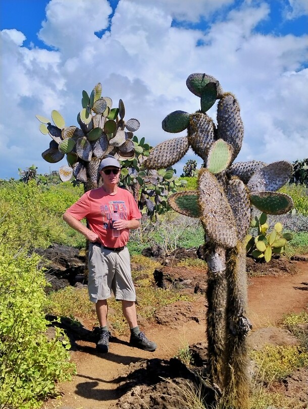 Ad bij de cactussen
