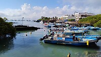 Haven Santa Cruz