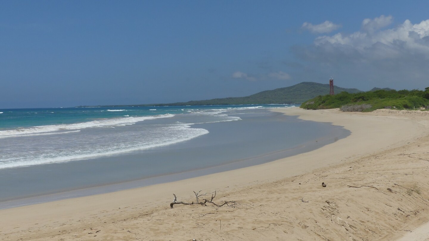 strand