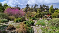 Botanische tuin Aarhus