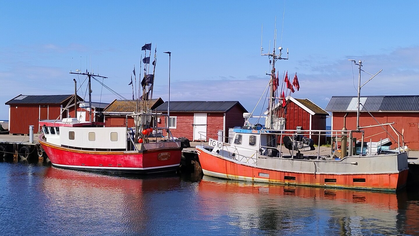 haven