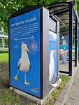 Anti meeuw prullebakken