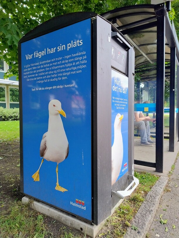 Anti meeuw prullebakken
