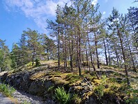 natuur