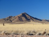Namib Naukluft park