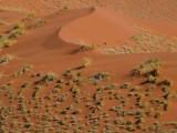 Rode duinen Namib Naukluft Nat. park