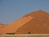 Rode duinen Namib Naukluft Nat. park