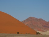 Rode duinen Namib Naukluft Nat. park