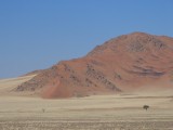 Namib Naukluft park