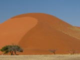 Rode duinen Namib Naukluft Nat. park
