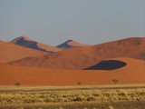 Rode duinen Namib Naukluft Nat. park