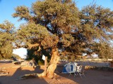 Camping in Sesriem
