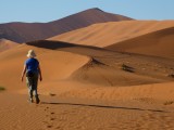 Rode duinen Namib Naukluft Nat. park